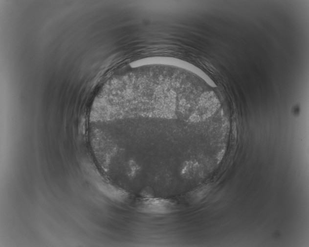 X0000116120379201001040955