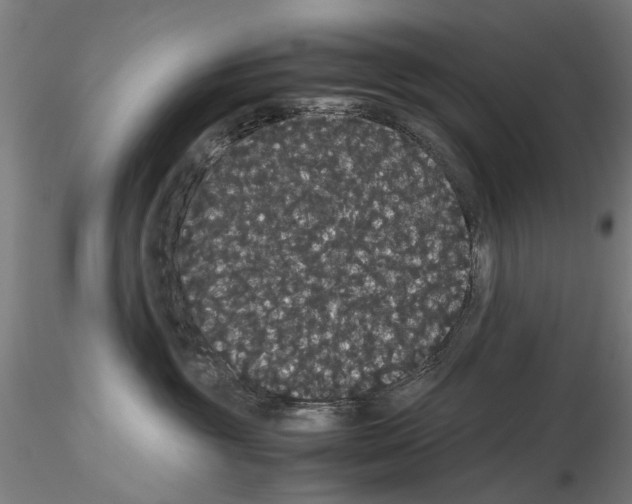 X0000116120381201001040955