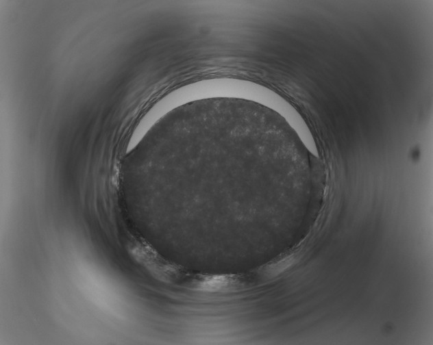 X0000116120382201001040955