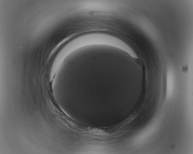 X0000116120387201001040955