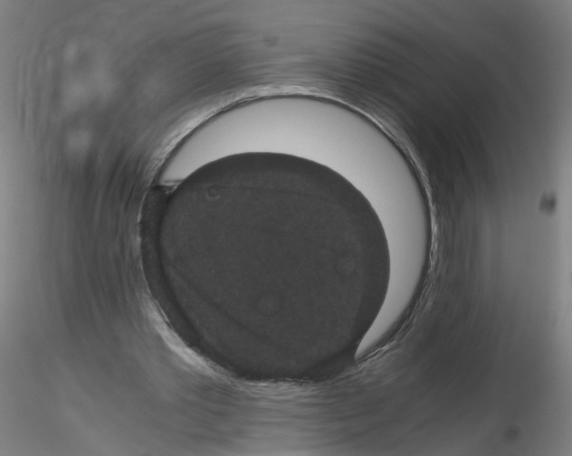 X0000116120389201001040955