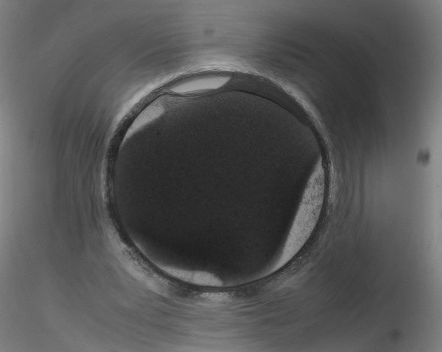 X0000116120391201001040955
