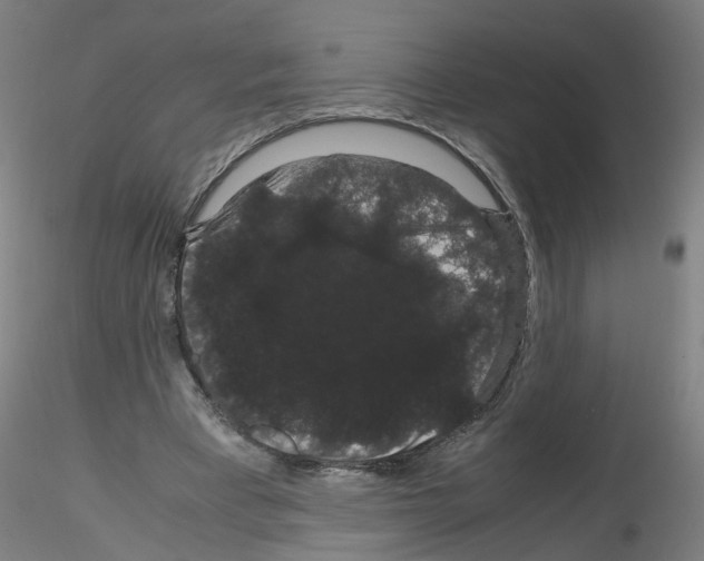 X0000116120393201001040955
