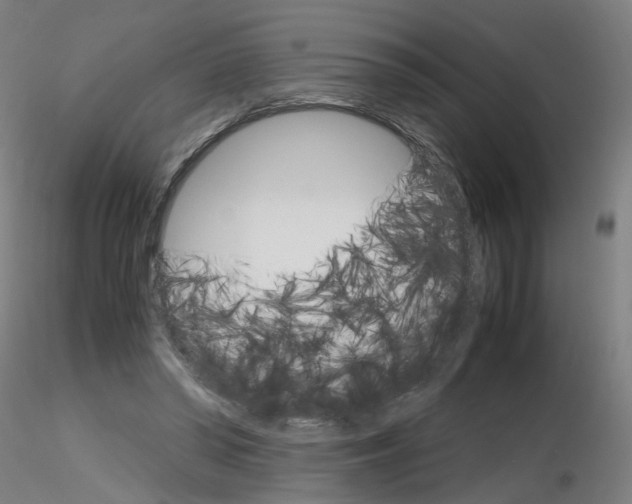 X0000116120398201001040955
