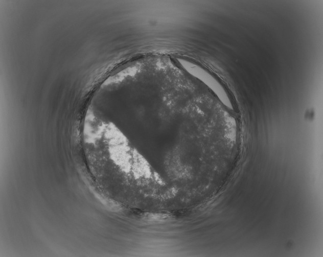 X0000116120401201001040954