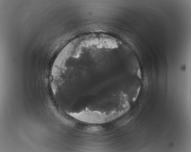 X0000116120402201001040954