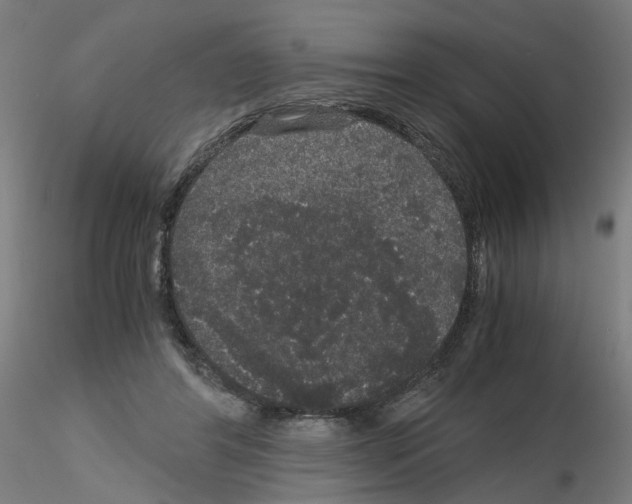 X0000116120404201001040954