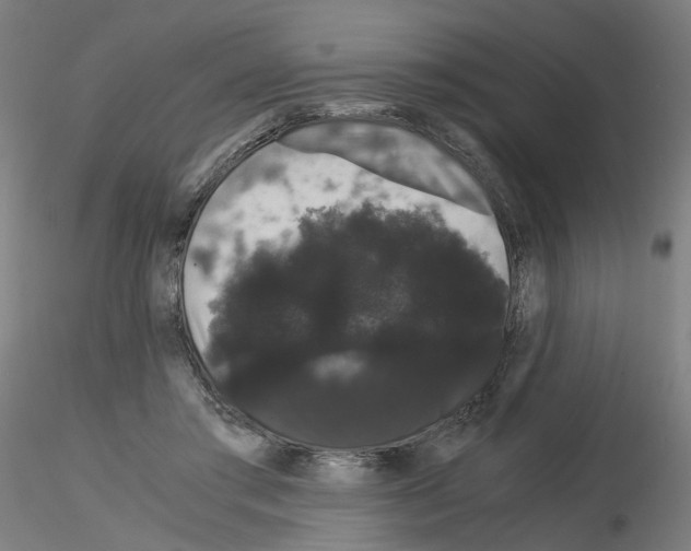 X0000116120405201001040954