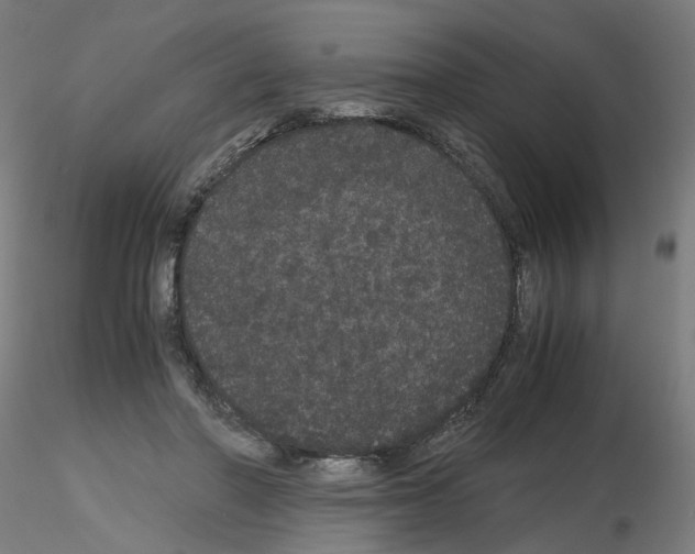 X0000116120406201001040954