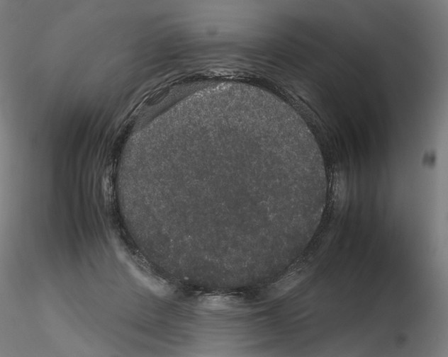 X0000116120408201001040954