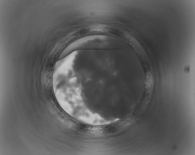 X0000116120409201001040954