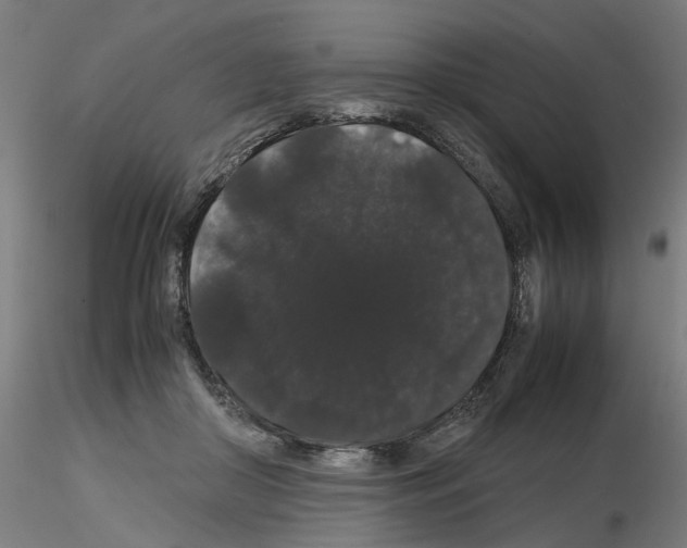 X0000116120410201001040954