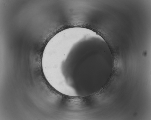 X0000116120411201001040954