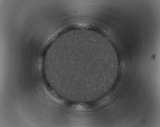 X0000116120412201001040954