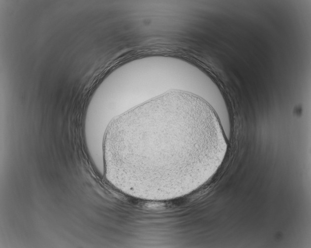 X0000116120413201001040954