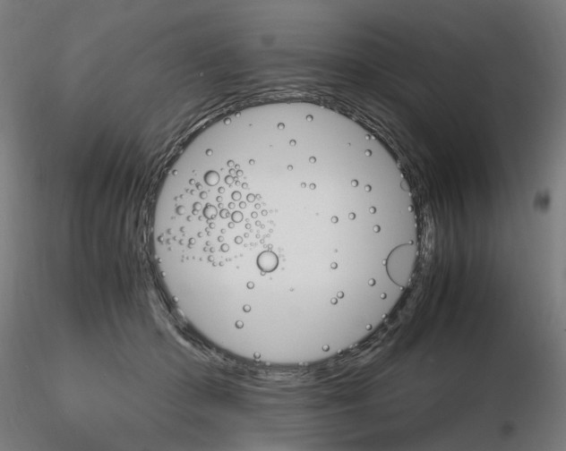X0000116120414201001040954