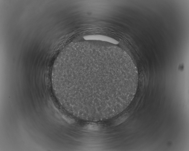 X0000116120416201001040954