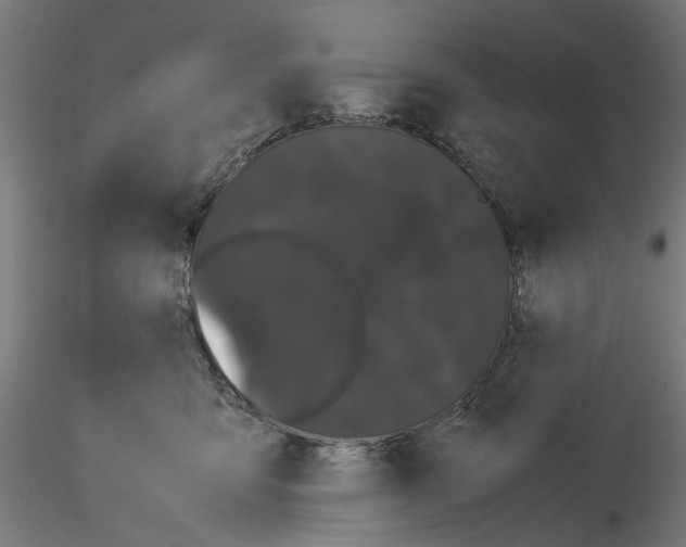 X0000116120419201001040954