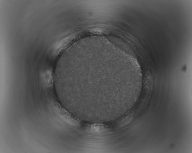 X0000116120420201001040954