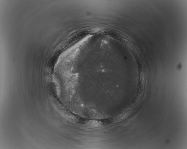X0000116120421201001040954