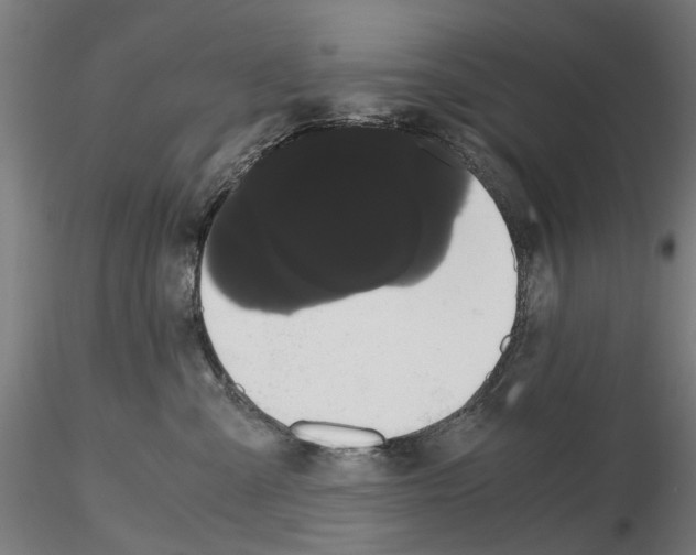 X0000116120427201001040954