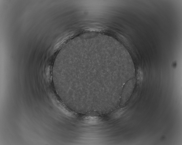 X0000116120428201001040954