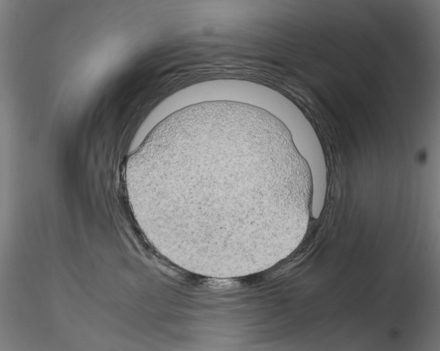 X0000116120429201001040954