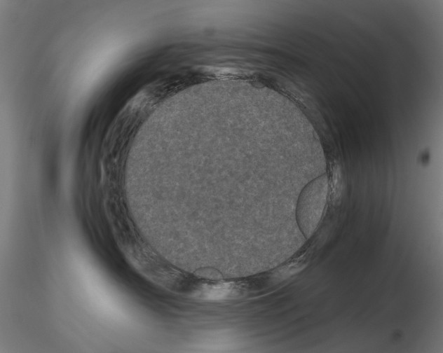 X0000116120430201001040954