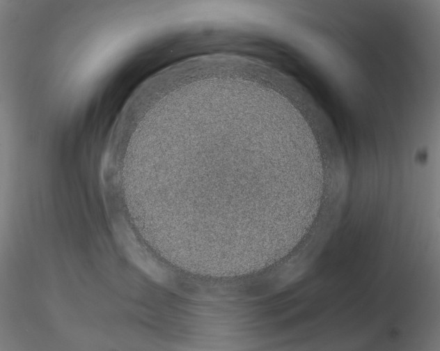X0000116120431201001040954