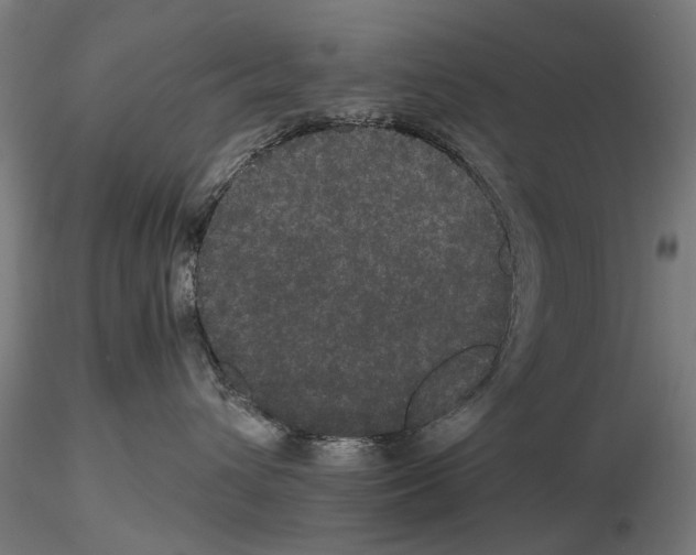 X0000116120432201001040954