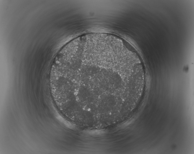 X0000116120433201001040953