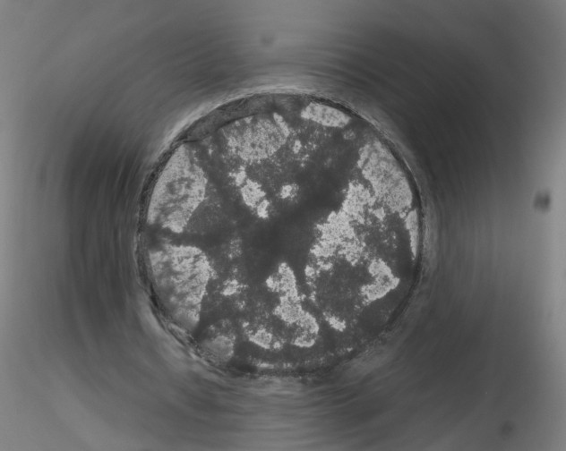 X0000116120434201001040953