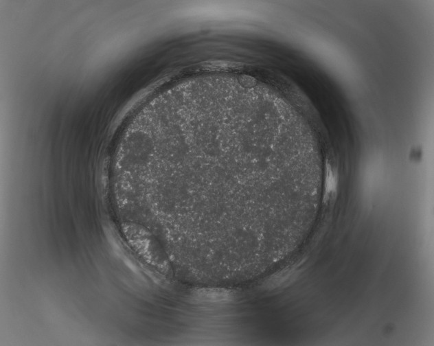 X0000116120435201001040953