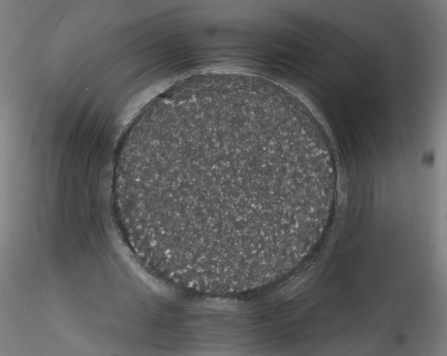 X0000116120437201001040953