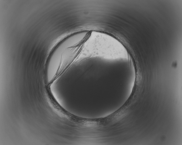 X0000116120438201001040953