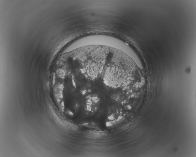 X0000116120443201001040954