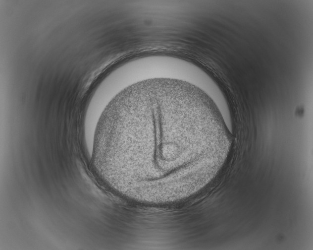 X0000116120444201001040954