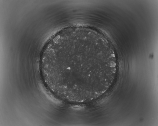 X0000116120447201001040954