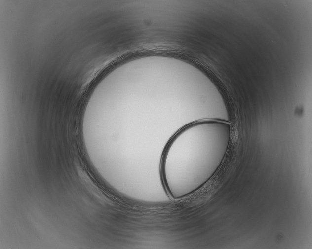 X0000116120448201001040954
