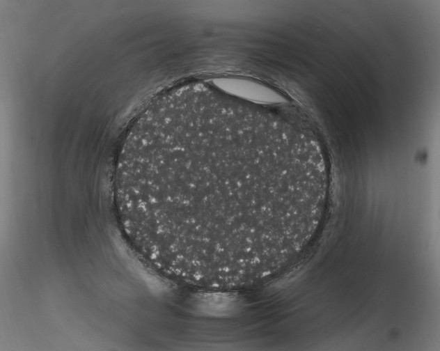 X0000116120449201001040954