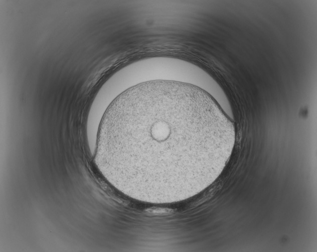 X0000116120452201001040954