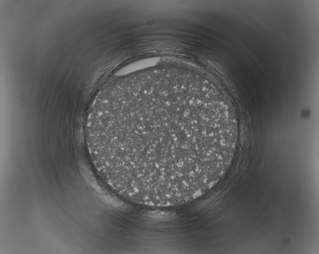 X0000116120453201001040954