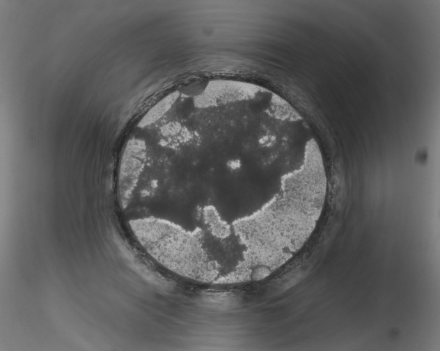 X0000116120454201001040954