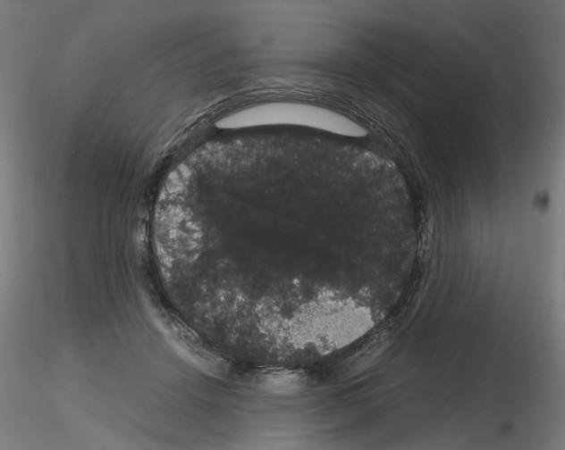 X0000116120456201001040954