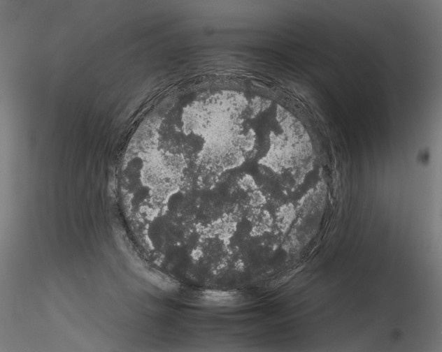 X0000116120457201001040954