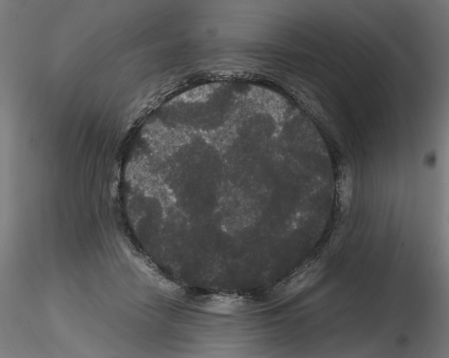 X0000116120458201001040954