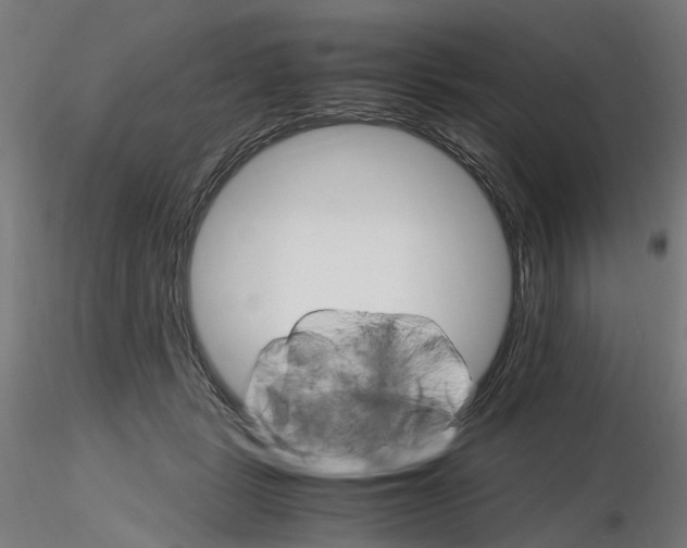 X0000116120461201001040954