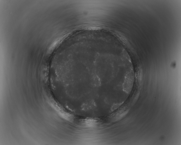 X0000116120462201001040954
