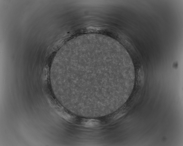 X0000116120463201001040954