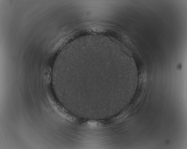 X0000116120464201001040954